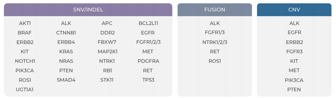 Genecast ctDNA Focus 插图1.png