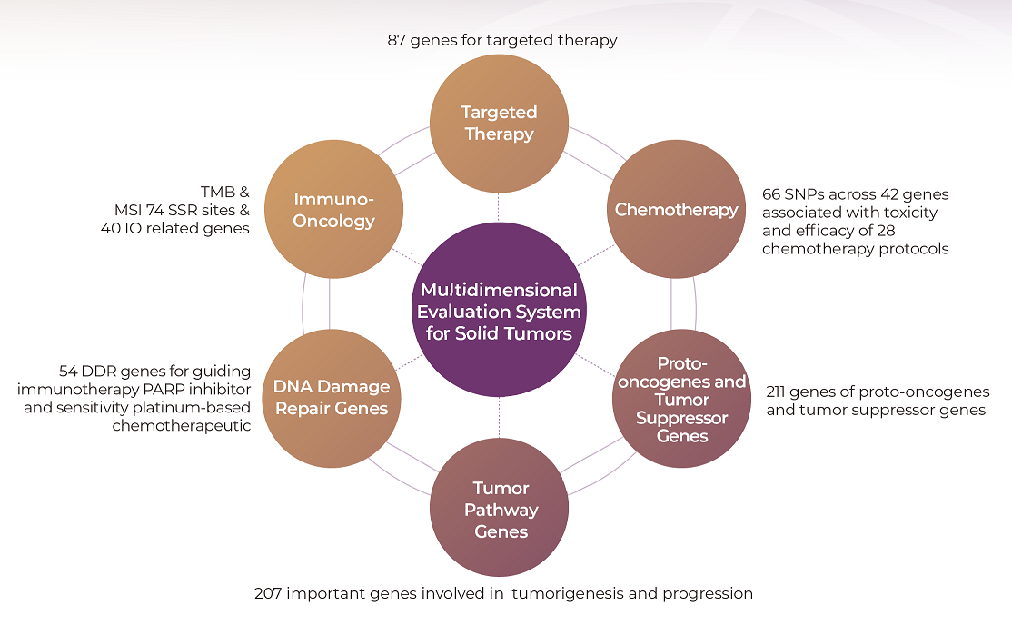 Genecast ctDNA Comprehensive 插图1.png